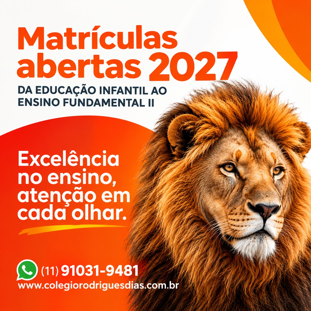 Matrículas Abertas